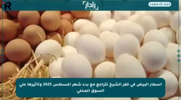 أسعار البيض في كفر الشيخ تتراجع مع بدء شهر أغسطس 2025 وتأثيرها على السوق المحلي